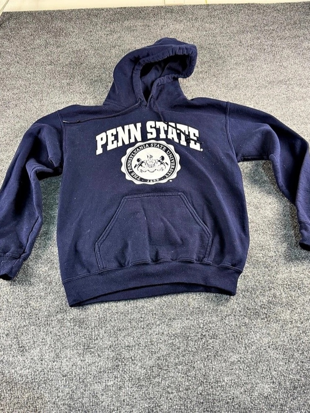 Gildan Heavy Blend Hooded Sweatshirt Blue Small